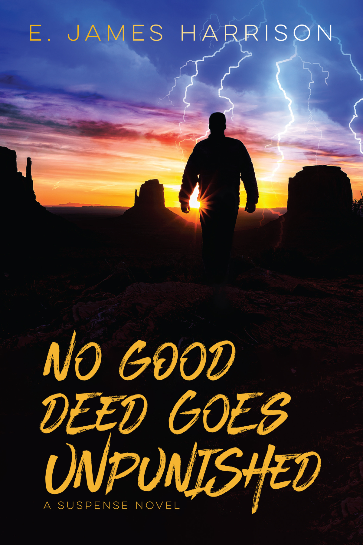 Book Blast: NO GOOD DEED GOES UNPUNISHED by E. James Harrison