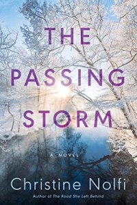 THE PASSING STORM by Christine Nolfi